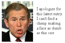 bushmonkey8.jpg